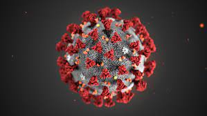 immagine del coronavirus